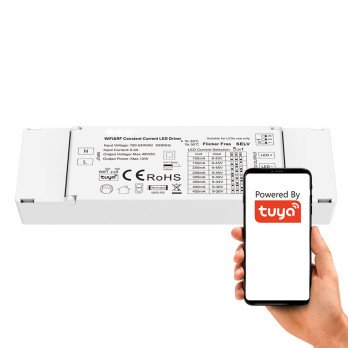 Mono LED-kontroller 9-45 V alalisvoolu toiteallikaga SD-seeria WiFi + RF TUYA