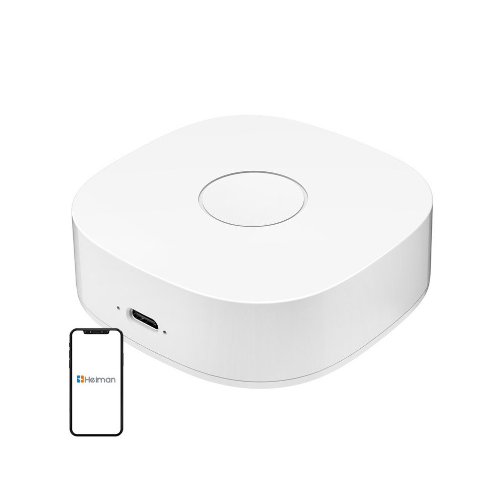 Smart home WS2GW-R WiFi