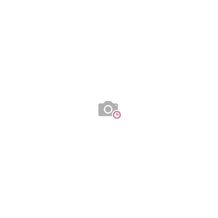 DAHUA XS-IPSD220-2S 2MP Speed Dome PTZ -kamera Wi-Fi-yhteydellä, PoE, IP66, sisäänrakennettu mikrofoni