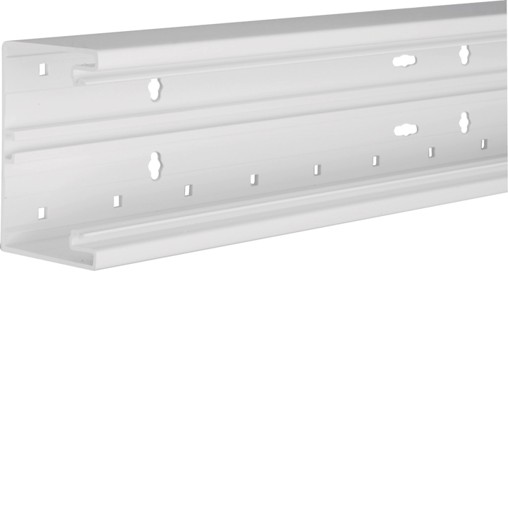 Hager BRP6510019016 Trunking Base, 65100, Traffic White