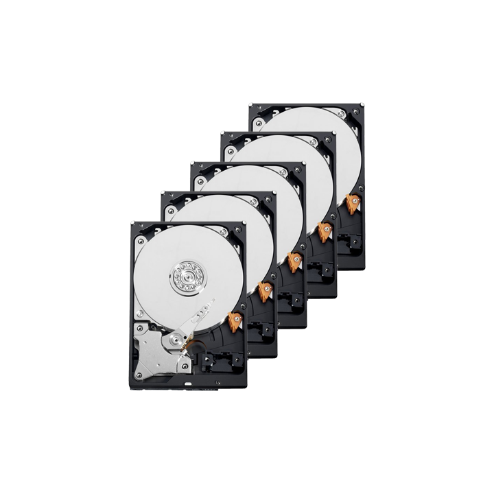 Western Digital 10XHD2TB 2TB Surveillance HDD