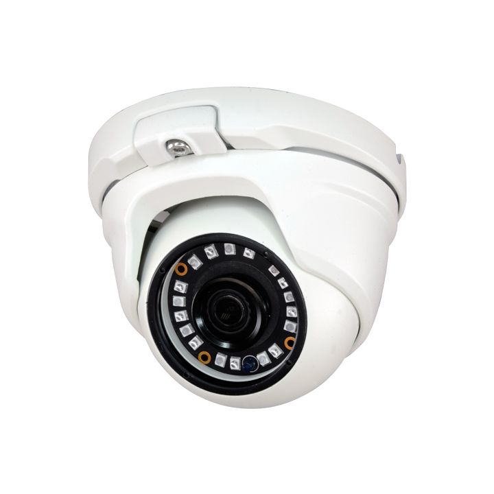 MARCA BLANCA T941SW-2P4N1 2MP IP PTZ Camera with IR 20m, IP66