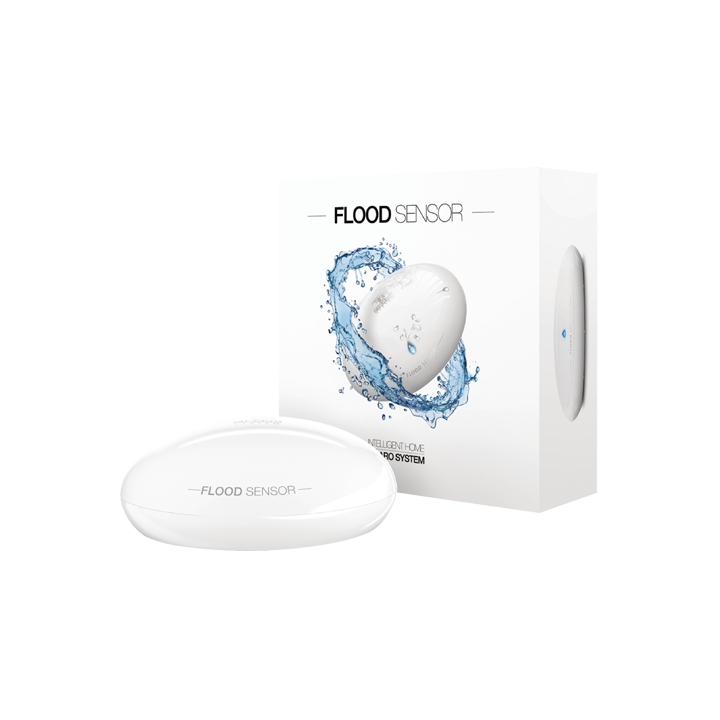 FIBARO FGBHFS-101 Security Device