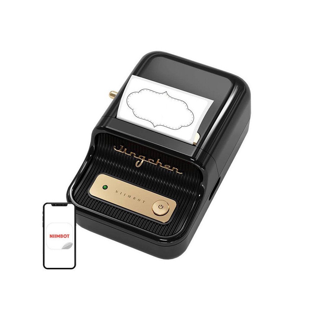 Niimbot B21 ()