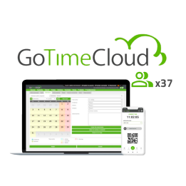 ZKTECO ZK-GOTIMECLOUD-37 7" сенсорный монитор