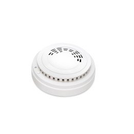 PLANET LS100-CO-868M LoRaWAN CO detektors IP20