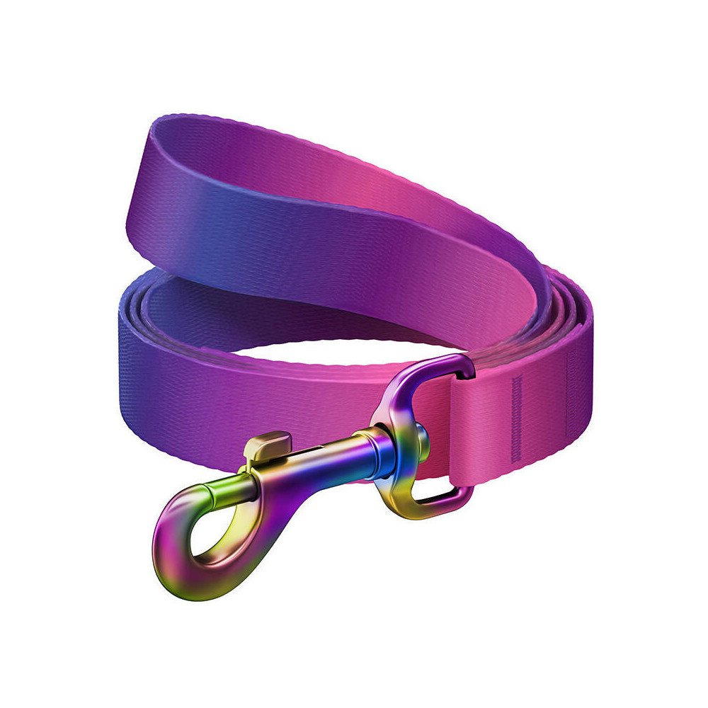 WAUDOG gradient nailonist koerarihm, 20 mm lai, 122 cm pikk, lilla