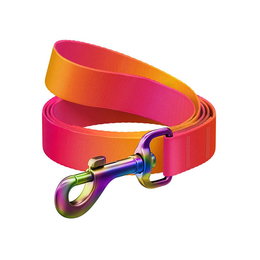 WAUDOG gradiento nailoninis pavadelis suniui, 122 cm ilgio, oranzinis