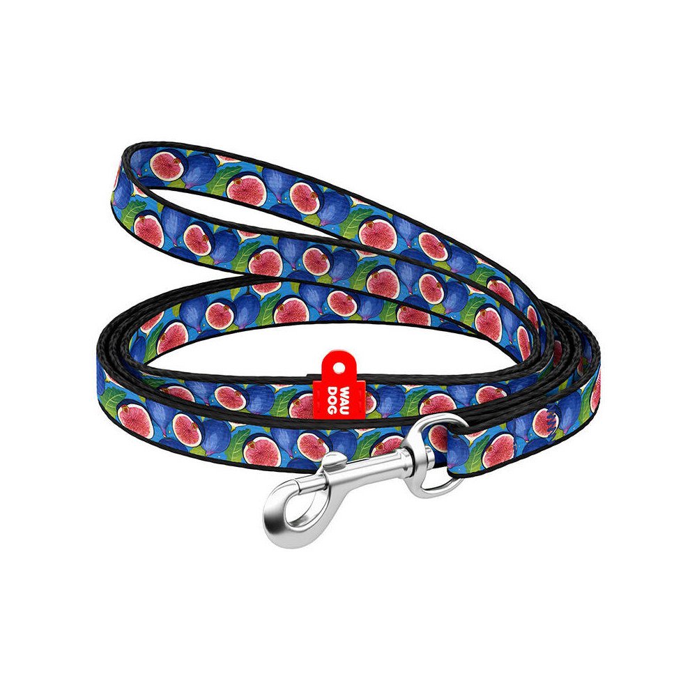 WAUDOG nailonist koerarihm 20 mm lai, 122 cm pikk "fig"