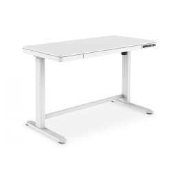 DIGITUS DA-90406 elektriline reguleeritava kõrgusega kirjutuslaud 120x60x12cm valge USB-laadimisportidega