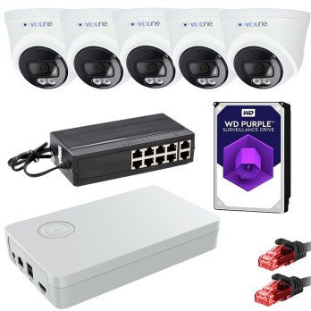IP Surveillance Kit with 5 Cameras 4Mpx PoE Switch 1TB ViDiLine HDD