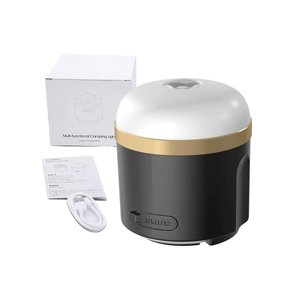 EcoFlow matkavalgusti (N).