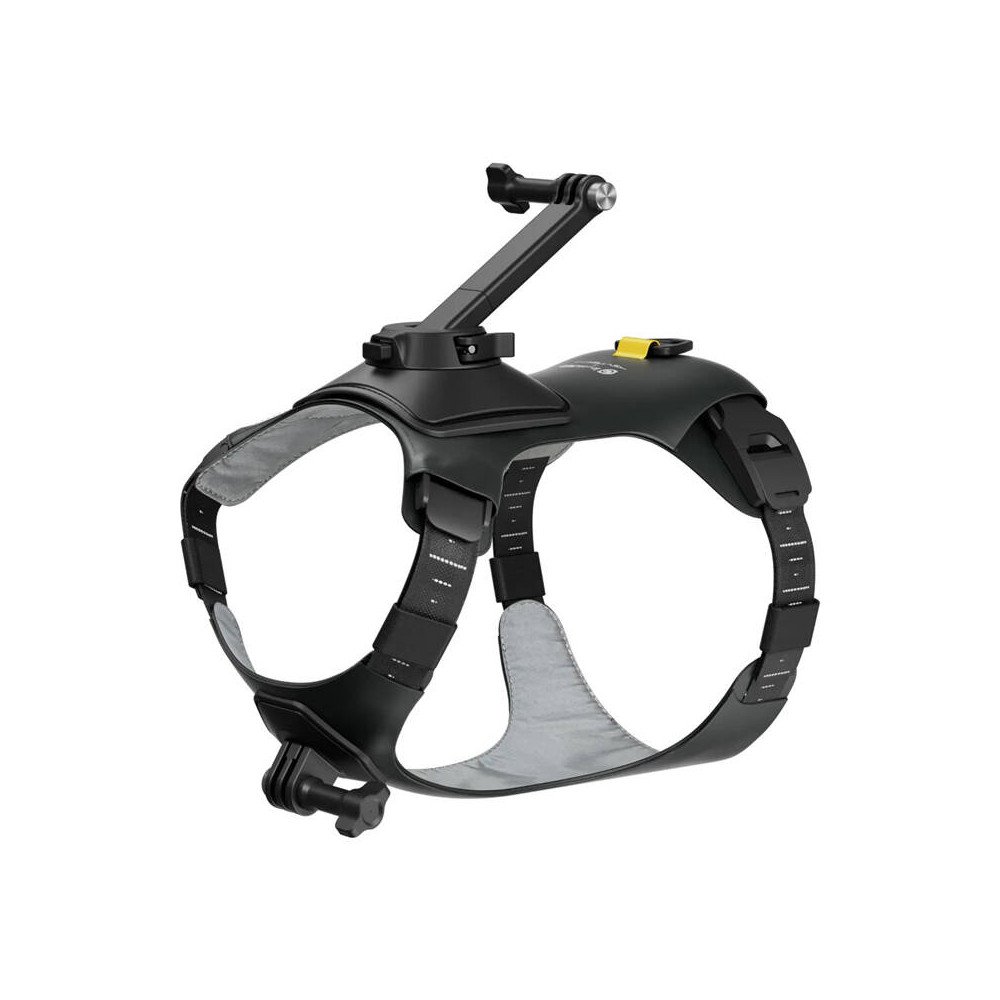 M dydzio augintinio dirzai, skirti montuoti Insta360 GO 3/ GO 3S fotoaparatus