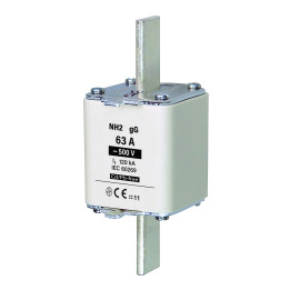 NH2 gG 63A/500V saugiklio jungtis