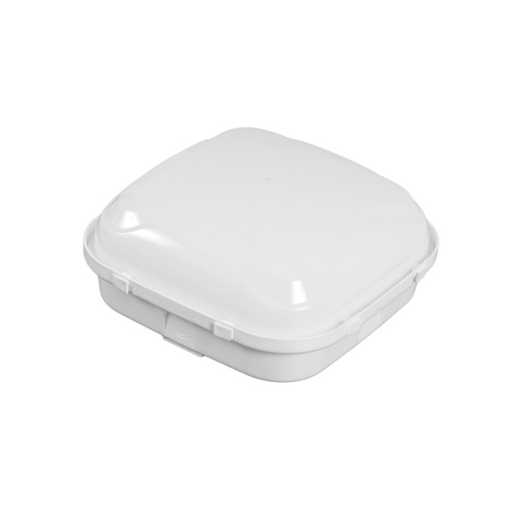 Lamp housing PANDA Karo  60 W    IP 65 milky glass