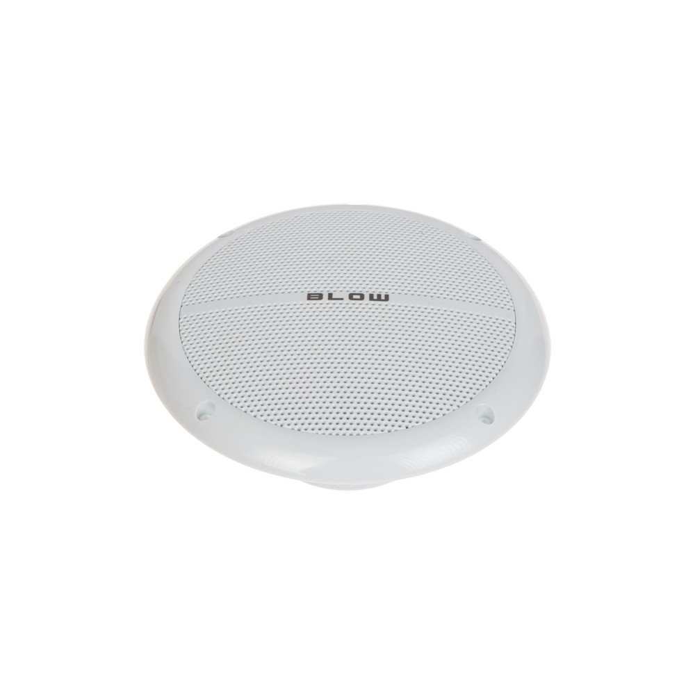 CEILING SPEAKER WS-180 80 W BLOW