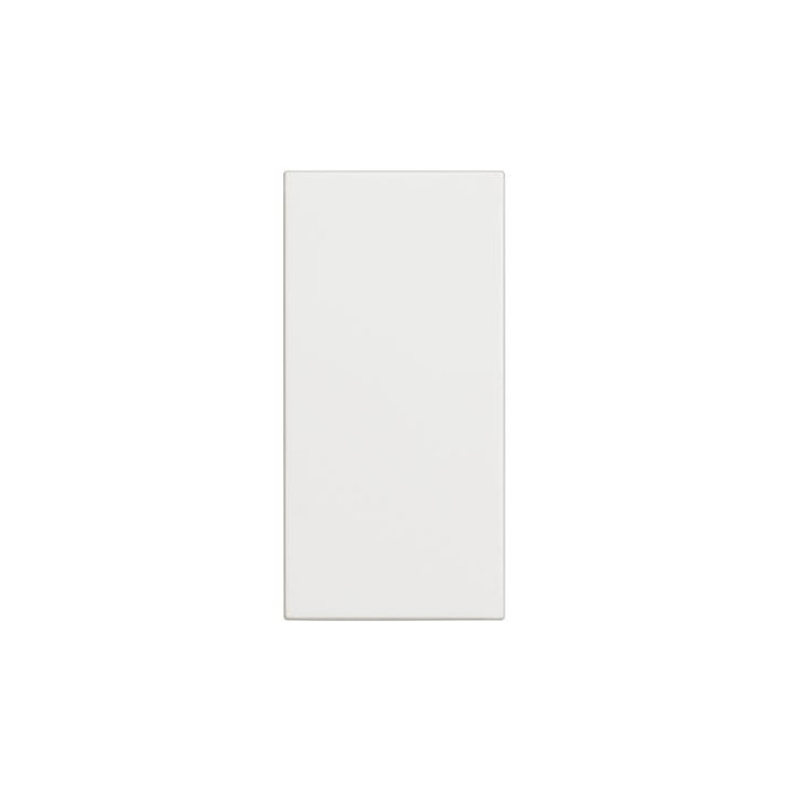 Tuščia plokštė – 1 modulis
