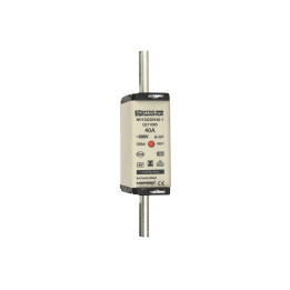 Mersen NH1 gG 40A Fuse Link