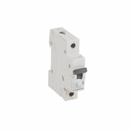 Legrand RX 6000 6 A B-Curve Fork Busbar