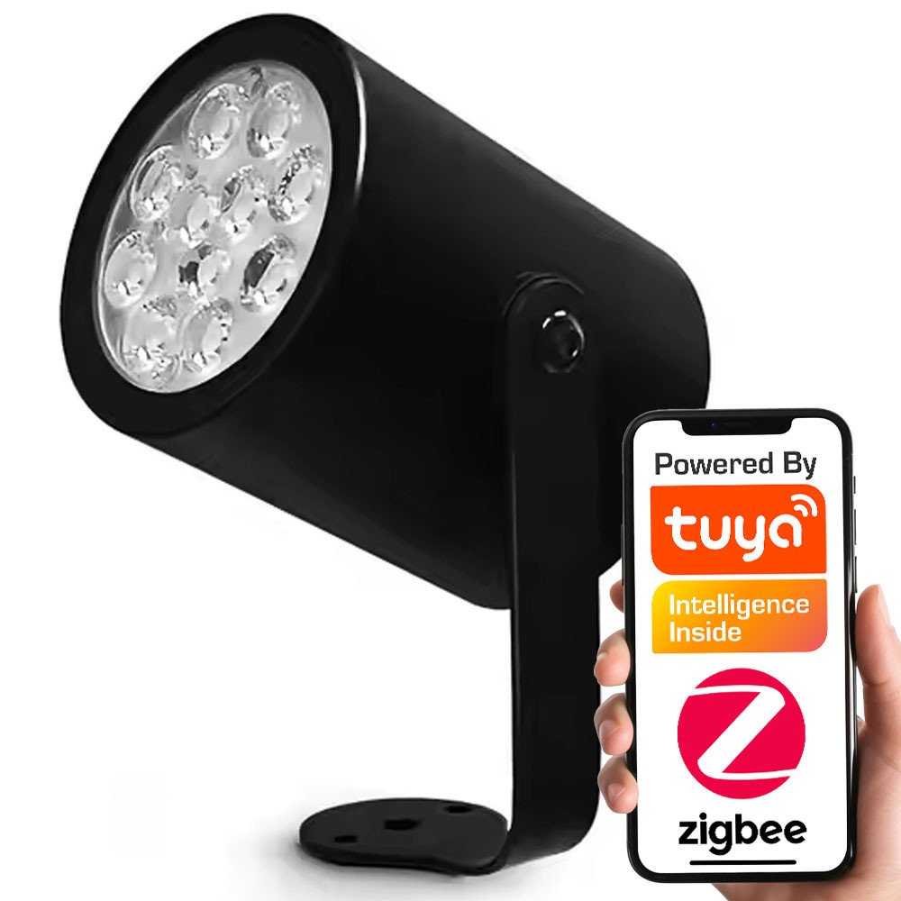 Valislamp RGBCCT IP66 230V ZigBee HUE TUYA