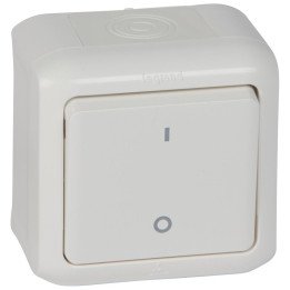 Double pole switch Forix - surface mounting - 10 AX - 250 V - white