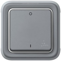 Double pole switch Plexo IP 55 - 10 AX - 250 V - modular - grey