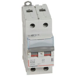 Isolating switch - 2P - 400 V - 63 A