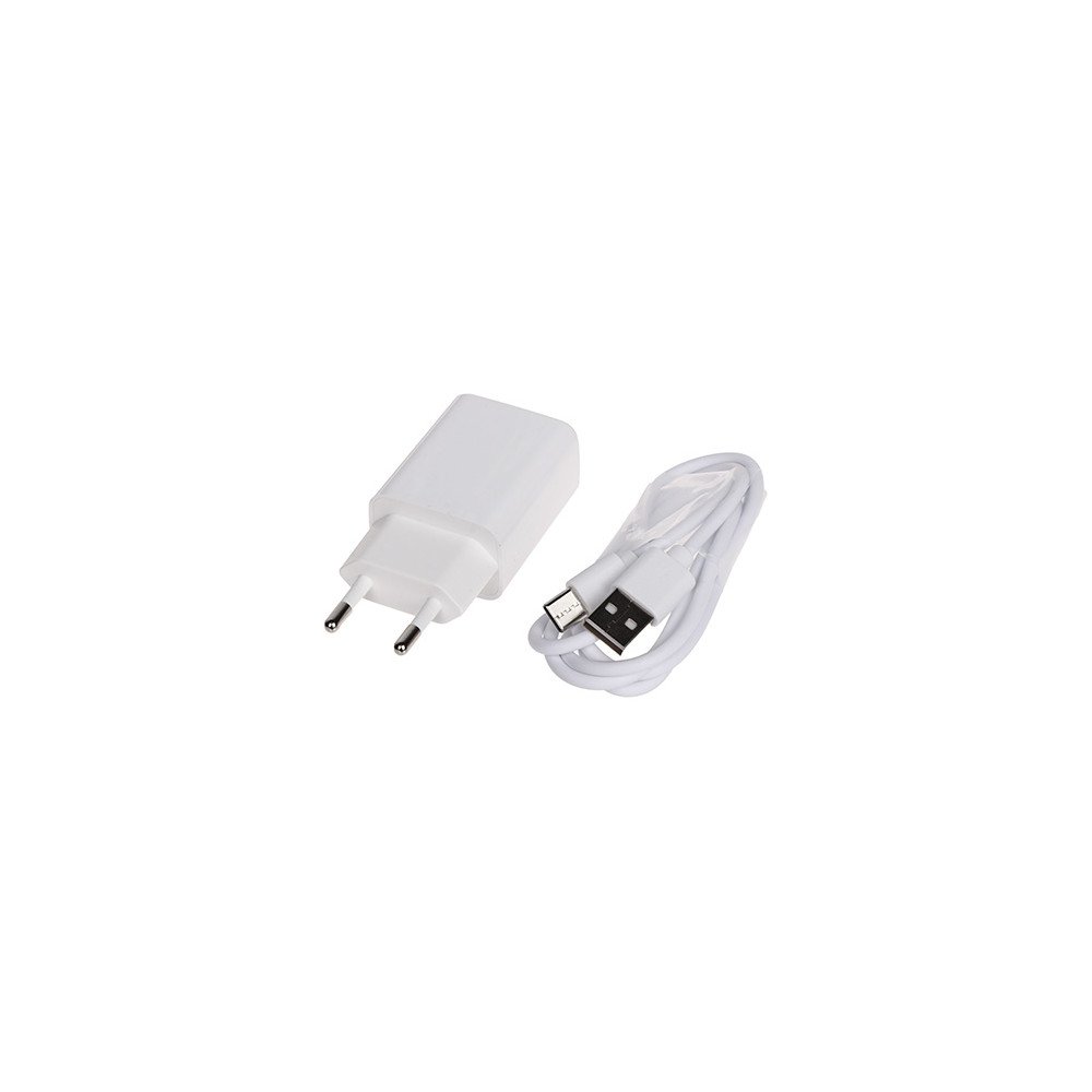 USB VORKLAADIJA 5V/1A/USB/C Delta Power