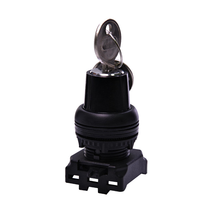 SA2LN45-D l key 2 pos nsr black