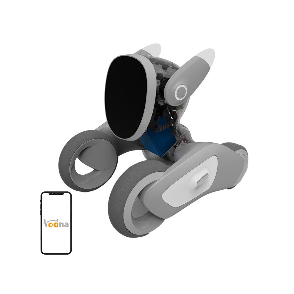 Loona Premium interaktiivne robot