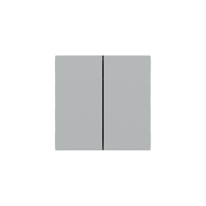 Ekinex накладка Form/Flank/NF 40x80 mm серый Fenix NTM EK-TRV-FGE