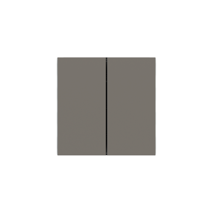 Ekinex накладка Form/Flank/NF 40x80 mm серый Fenix NTM EK-TRV-FGL-