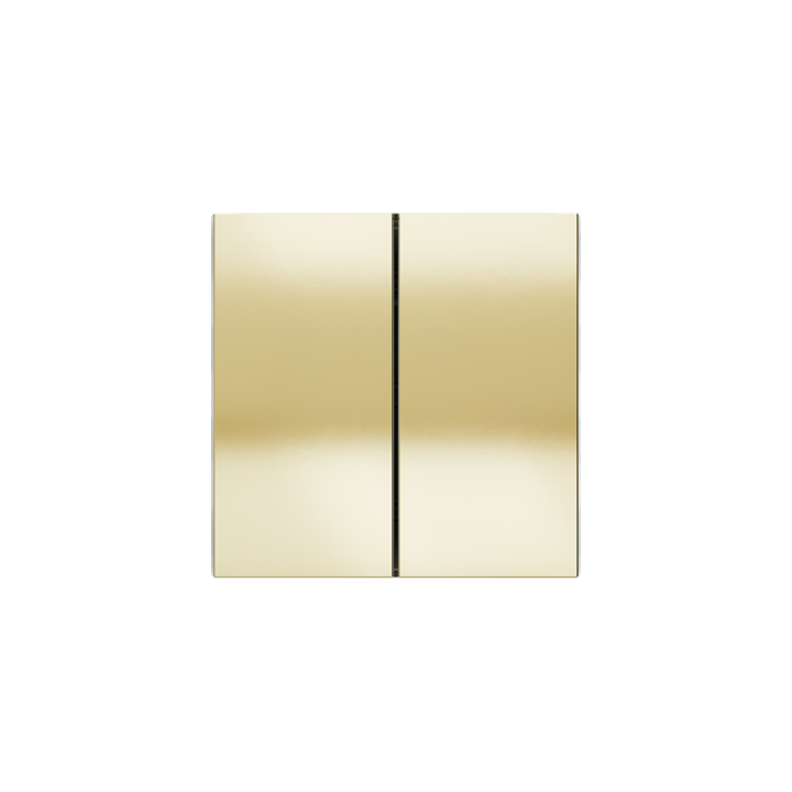 Ekinex plāksne Form/Flank/NF 40x80 mm Champagne metāls EK-TRV-CHA-
