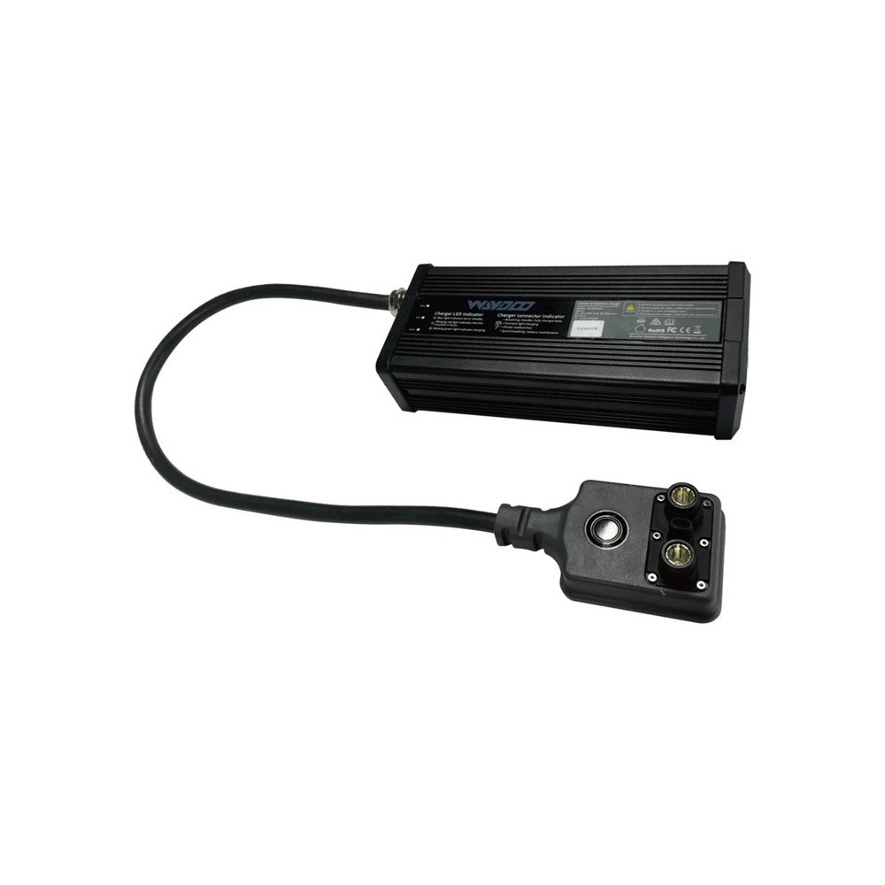 WAYDOO EVO Powerflight