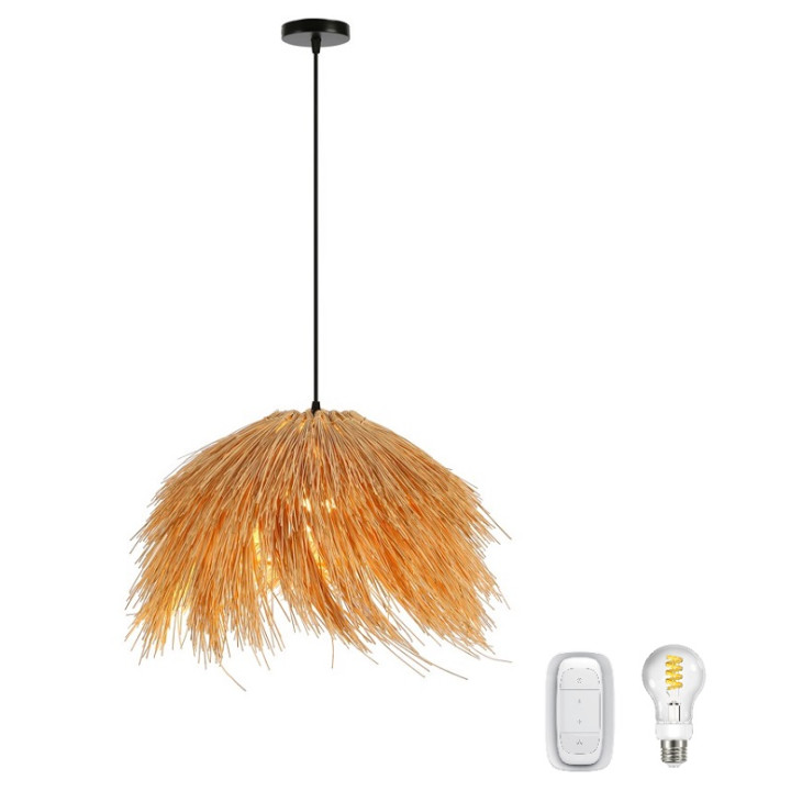Immax BOHO NATURALEZA Complete Smart Ceiling Light 55cm + E27 spuldze + tālvadības pults