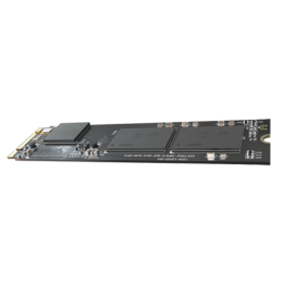 HIKSEMI HS-SSD-E100NI-256G-2280