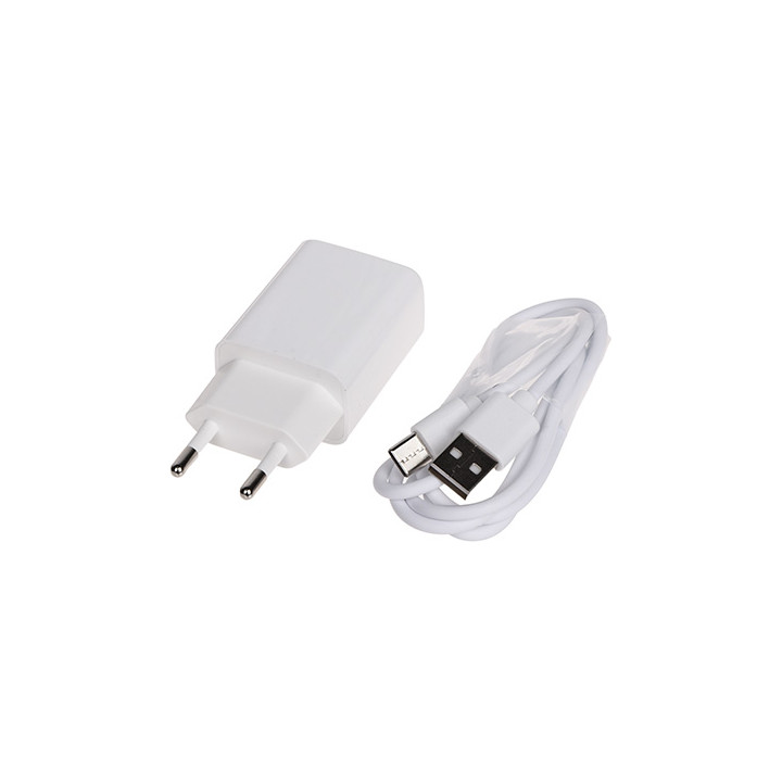 Delta Power 5V/1A USB-C lādētājs 5902887088056
