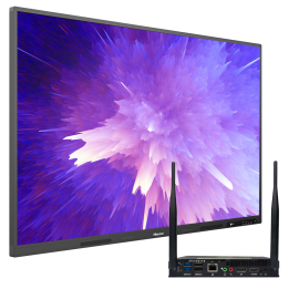 HISENSE HIS-65WR6CE-OPS интерактивная игрушка для питомцев
