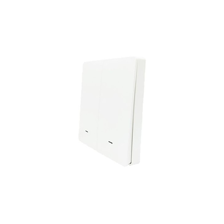 SmartWise wall switch front panel, white, 2-button