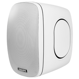 DSPPA DSP6050W Kolonnas Skaļrunis - 50W RMS, PA Sistēmas Skaļrunis Iekštelpām un Āra Telpām