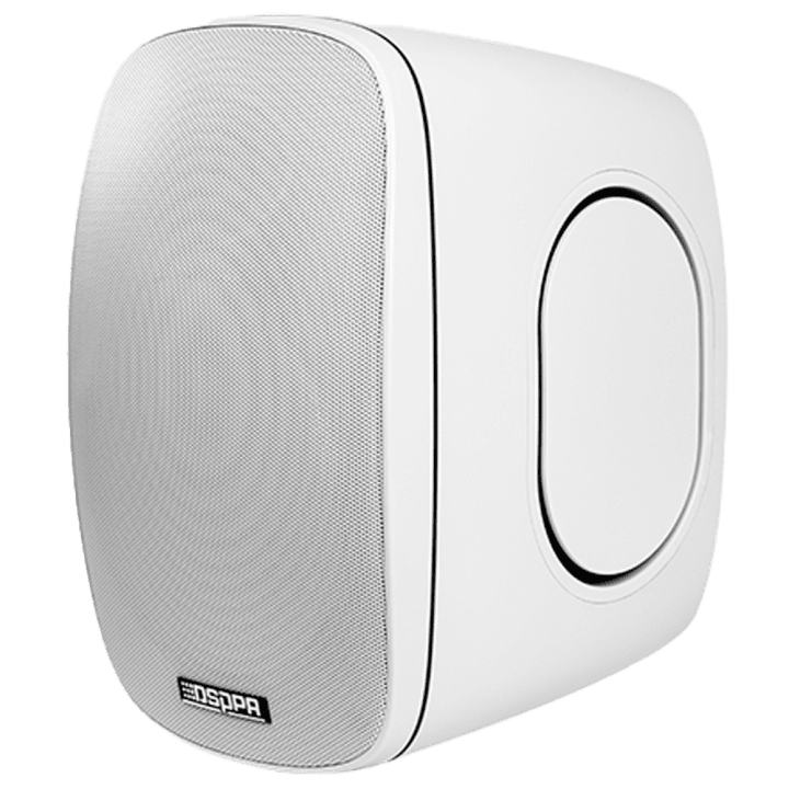 DSPPA DSP6050W pylväskaiutin - 50 W RMS, PA-järjestelmän kaiutin sisä-/ulkokäyttöön