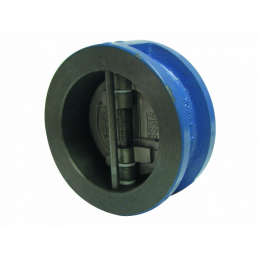 Check Valve DN200 GG25 Dual Disc Spring-Loaded Stainless Steel