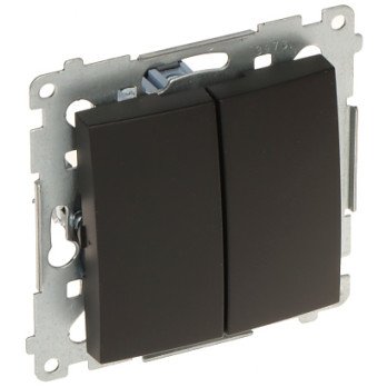 TWO GANG SWITCH DW5.01/49-SIMON54 250 V 10 A