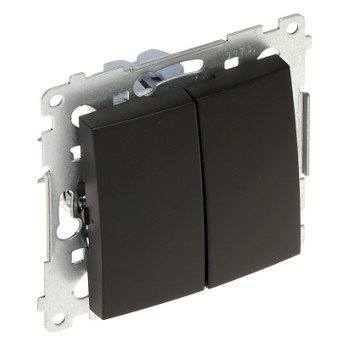 DOUBLE PUSH BUTTON DP2.01/49-SIMON54 250 V 10 A