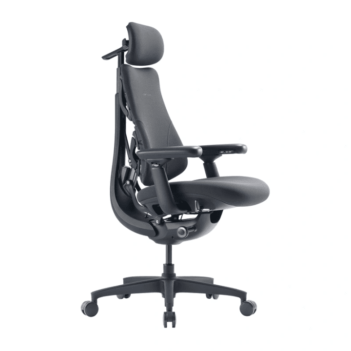 LiberNovo Omni GEN 48 cm Ergonominen tuoli (grafiitti)