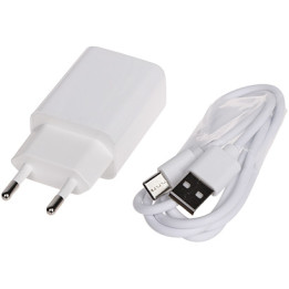 Delta Power 5V/2A USB-C зарядное устройство 10W компактный сетевой адаптер