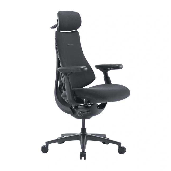 LiberNovo OC1-PRO 48 cm ergonoomiline tool (grafiit)