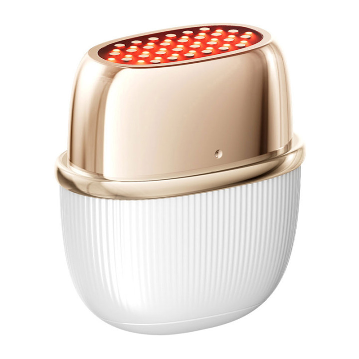 ANLAN 01-ADRY51-02A Lifting Facial Massager with RF