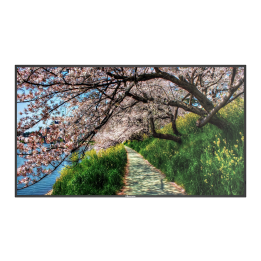 Hisense HIS-86B4E30T 86" 4K UHD IPS Monitor