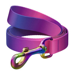 WAUDOG gradient nylon koiran talutushihna, pituus 122cm, violetti